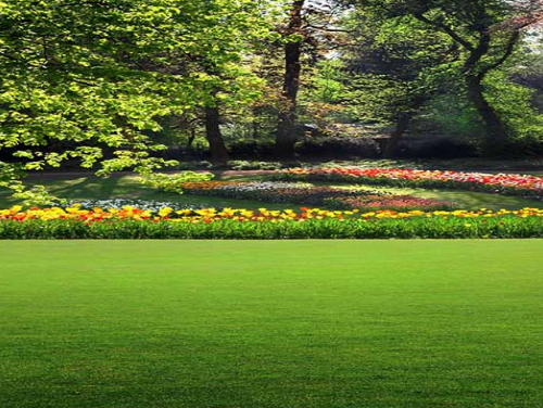 �����̻�